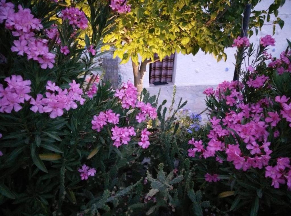 Cuevas Los Coloraos - La Residencia Villanueva de las Torres Bagian luar foto